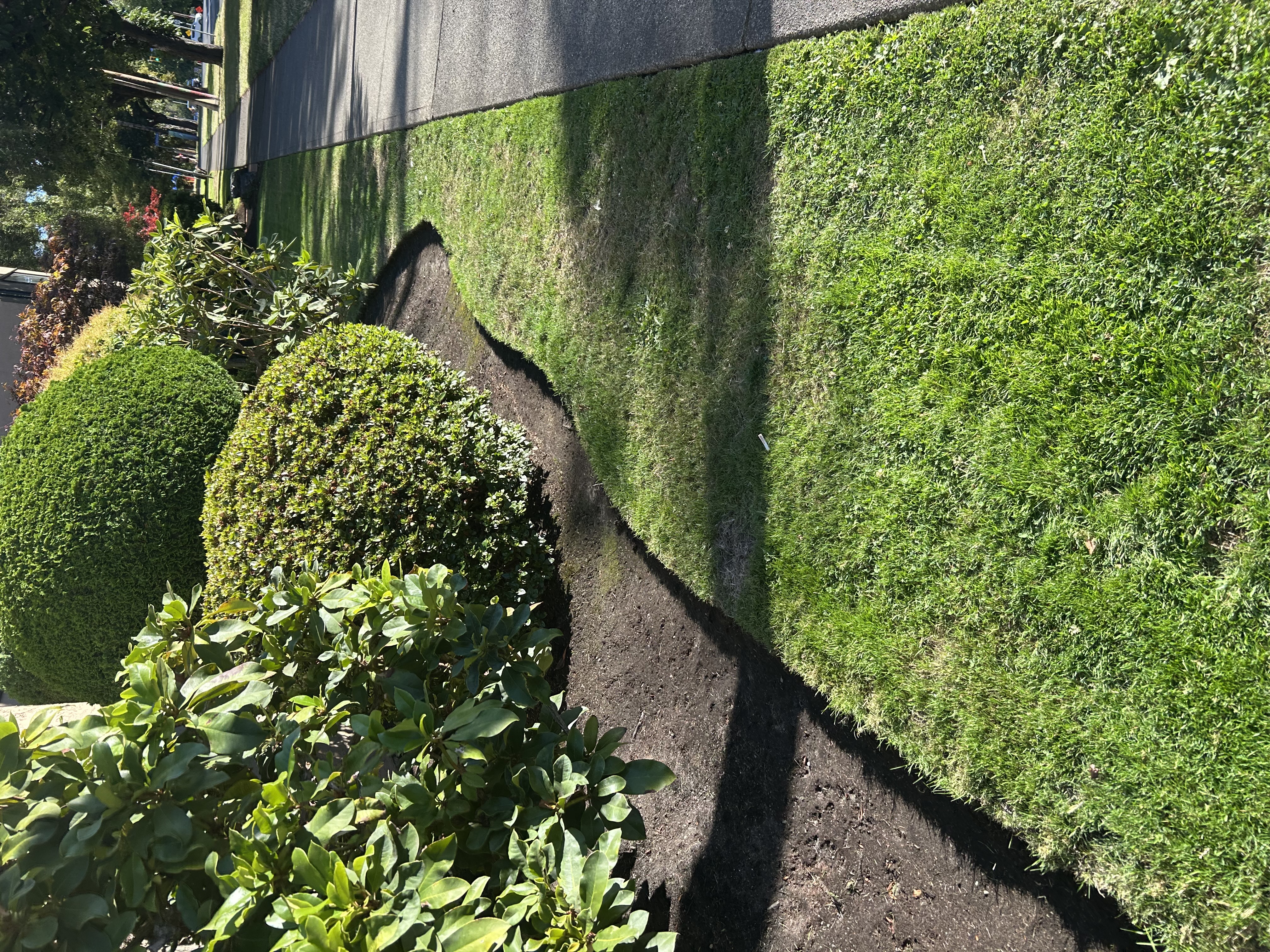 Lawn edging
